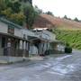Reddish Knob Trading Post - FORMER