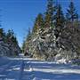 CANAAN HEIGHTS - Canaan Loop Road