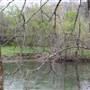 Summers County Bayou