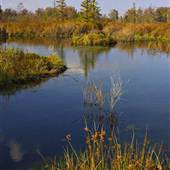 Canaan Valley Wildlife Refuge