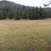 Greenbrier State Forest