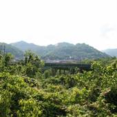 WILLIAMSON - US 119, Tug River Bridge