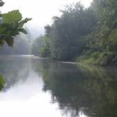 South Branch Potomac River - MILLESONS MILL