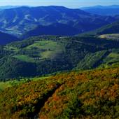 SPRUCE KNOB - _Sampler