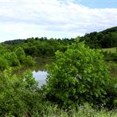 Stonewall Jackson Wildlife Management Area