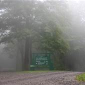 KUMBRABOW STATE FOREST - Park Entrance