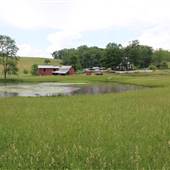 [KEEP HIDDEN] Richardson Farm