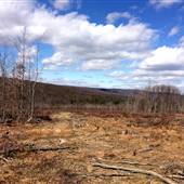 Sleepy Creek WMA Timbered Area