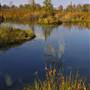 Canaan Valley Wildlife Refuge