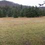 Greenbrier State Forest