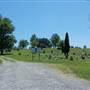 Three Springs Cemetery