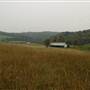 Crawford Farm