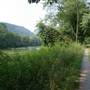 Thorny Creek Trail