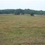 Billy Owens Farm