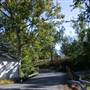 CAPON BRIDGE - Cacapon River Road (CR 14)