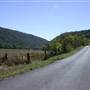 PATTERSON CREEK - Patterson Creek Road (CR 28/3) [PATTERSON CREEK]