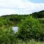 Stonewall Jackson Wildlife Management Area