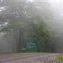 KUMBRABOW STATE FOREST - Park Entrance
