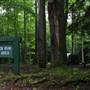 KUMBRABOW STATE FOREST - Meat Box Run Picnic Area