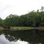 SENECA STATE FOREST - Seneca Lake & Earthen Dam