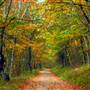 FR 85 - To Reddish Knob
