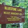 Bull Falls Campground