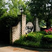 HURRICANE - Woodclyffe Chase