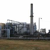 [KEEP HIDDEN] Bayer Crop Plant