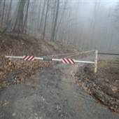 DOLLY SODS - Forest Road 75 (to Bear Rocks)