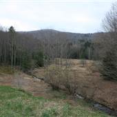 Highland Scenic Highway - 12, Cranberry Glades Botanical Area