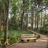 Highland Scenic Highway - 06, Little Laurel Nature Trail