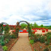 PALACE OF GOLD - Exteriors, Gardens