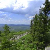 SPRUCE KNOB - Forest Roads