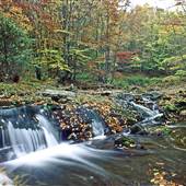 SPRUCE KNOB - Seneca Creek