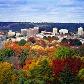 HUNTINGTON - Views & Overviews