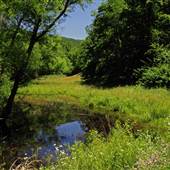 Wallback Wildlife Management Area