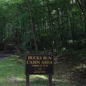 WATOGA STATE PARK - Bucks Run Cabin Area