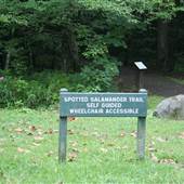 KANAWHA STATE FOREST - Spotted Salamander Trail