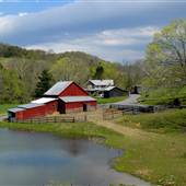 Creekside Resort & Spa