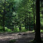 Greenbrier River-wilderness-Anthony