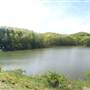 Mountwood Park