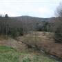 Highland Scenic Highway - 12, Cranberry Glades Botanical Area