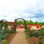 PALACE OF GOLD - Exteriors, Gardens