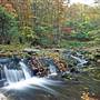 SPRUCE KNOB - Seneca Creek