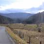 LINDSIDE - Green Valley Road (CR 219/24)