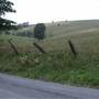 WILLOW BEND - Willow Bend Road (CR 13)