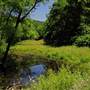 Wallback Wildlife Management Area