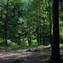 Greenbrier River-wilderness-Anthony