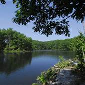 BABCOCK STATE PARK - Boley Lake