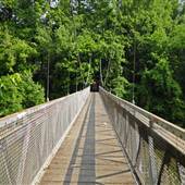Coal River Pedestrian Bridge